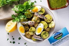 Gourmet White Anchovies EVOO | Wild Caught, Kosher, Gluten-Free | 12 x 4.4oz