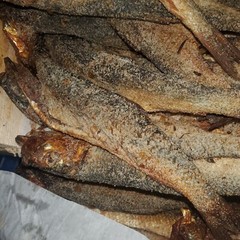 Salted SMOKE HERRING 10 to 50+ Pieces /buy 50+ get 10 Pieces free