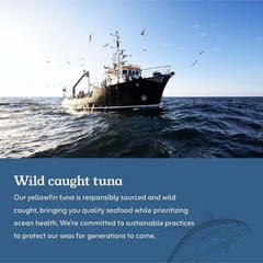Van Camp’s Seafood Solid Light Yellowfin Tuna in Water, 5 oz. Can (Pack of