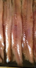 Big Anchovies FLAT Fillets in Oil 793gm “28 OZ” Anchovy TASTY! FREE SHIP! SAVE