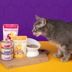 Soulistic Originals Wet Cat Food, Pure Bliss Tuna Whole Meat Dinner in Gravy,…