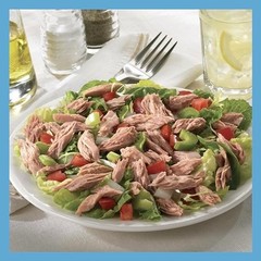 Chunk Light Tuna in Oil, 5 Oz – 48 Pack, High Protein, Low Fat, Canned Seafood