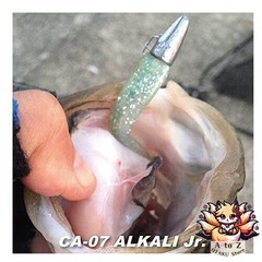 NEW coreman (Core Man) Worm Ca – 07 Alkaline Junior # 001 Japanese Anchovy.