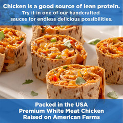 Chicken Creations Original BBQ, Single Serve Pouch, 2.6 Oz (Pack of 2)