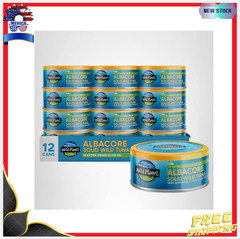 New Albacore Wild Tuna in Olive Oil 5oz Canned Tuna 12 Pack Wild Caught