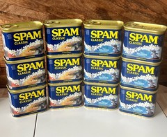 Spam Limited Edition Disney Lilo Stitch Hula Surfing Stitch Lot 12 Collectable