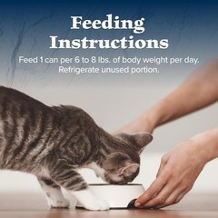 Wilderness Natural Wet Cat Food Paté High-Protein & Grain-Free Recipe Chicken