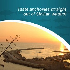 Anchovies Fillets in Olive Oil – Anchovy Fillets Rolled in Capers (3.18Oz, 3-…