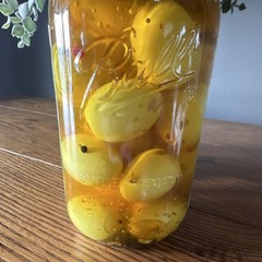Ball Homemade Pickled Eggs Pantry Jar Expiration 2026 Egg Product Pickled Food