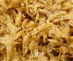 Seafood Small Size Shrimp Fresh Cleaned Naturally SunDried Delicious for Cooking