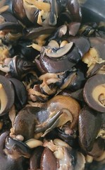 Dry Snails- Jumbo & Medium-6 & 12pieces/pack