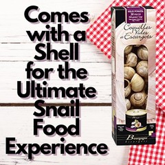 Burgundy French Escargot Set – 24 Unattached Snail Shells and Snail Meat