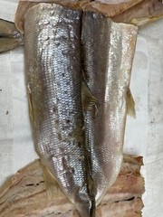 ЖЕРЕХ COLD Smoked Whitefish 1p Whole Express hand. 3.5lb for $63 ! US SELLER !