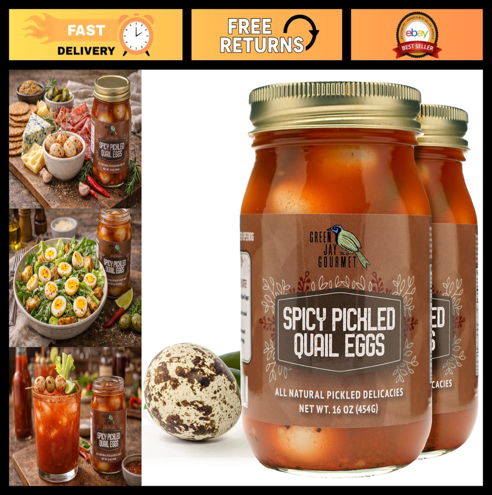 Spicy Pickled Quail Eggs in Jar – Gourmet Fresh Handcrafted – 2 x 16oz Jars