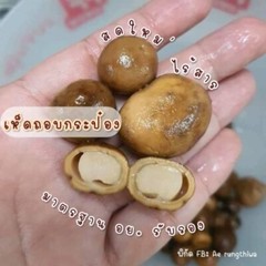 2 cans Puff Ball Mushroom In Brine Authentic Thai Cooking Menu DHL Fast Shipping