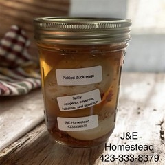 Pickled Duck Eggs