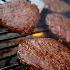 Bison Burger Patties | 12 – 1/3 lb Pre-Formed Burgers | Case of 4 | Nebraska Bis