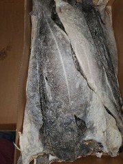 Salted Fish Dried Bone In Heavy salted Best Price Best Seller Quality fish 50lb
