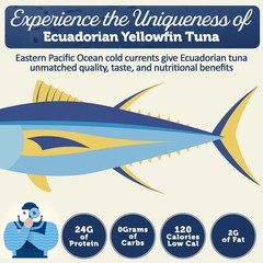Premium Yellowfin Tuna in Spring Water – 12 Pack Solid Light 5 Oz Cans Sustai…