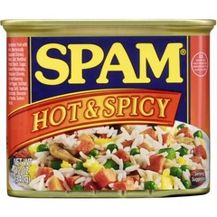 Hot and Spicy Protein Drink 7g Protein per Serving 12 oz Cans 3 Pack
