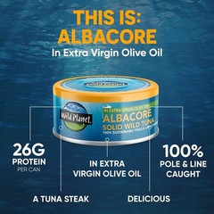 New Albacore Wild Tuna in Olive Oil 5oz Canned Tuna 12 Pack Wild Caught