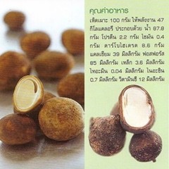 2 cans Puff Ball Mushroom In Brine Authentic Thai Cooking Menu DHL Fast Shipping