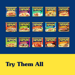 SPAM Oven Roasted Turkey Canned Meat, Fully Cooked, 12 oz Cans, 12 Pack