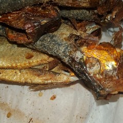 Salted SMOKE HERRING 10 to 50+ Pieces /buy 50+ get 10 Pieces free