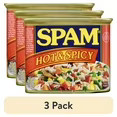 Hot and Spicy Protein 12 oz Aluminum Can