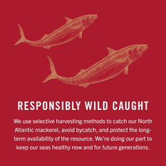 King Oscar Mackerel in Olive Oil,4.05Ounce Can(Pack of 1,3,6,Packaging May Vary