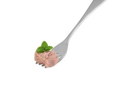 Jego Solid Tuna in Sunflower Oil | Wild Natural Catch Tuna | Keto | Low Carb | G