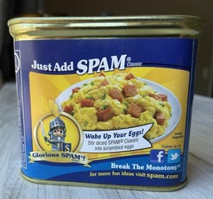 Hormel Foods SPAM Classic Can w/ Hidden Compartment Safe