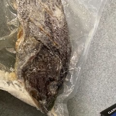 Saltfish Salted Fish Black Sea Bass Baccala Bacalao 1.05Lb Carribean Italian US