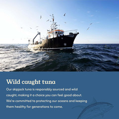 Seafood Solid Skipjack Tuna in Oil, 4-3 Oz. Cans (Pack of 6), Wild Caught Canned