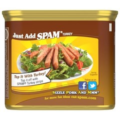 SPAM Oven Roasted Turkey, Canned Meat, 12 oz Can, (12 12 Ounce (Pack of 12)