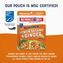 Lemon Sesame Ginger Tuna Pouch – Wild Caught, 14g Protein, Ready to Eat, Pack