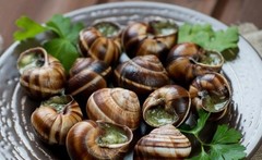 Burgundy Escargots – 6 Dozen per Can – Product of France – Gourmet Snails