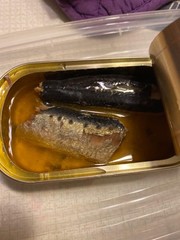 Tinned Wild Sardines in Water, No Salt, 4.4 oz, 12-Pack – Healthy Snack Option