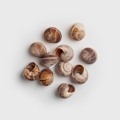 Escargot Snails Empty Shells – 36 pcs – Extra Large Escargot Shells – Premium…