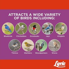 Lyric Delite High Protein Wild Bird Seed Suet Cakes for Wild Birds, 12 oz. (12 P