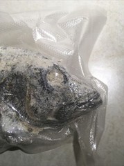 Saltfish Salted Fish Blk Sea Bass Baccala Bacalao 14.4 oz Carribean Italian US