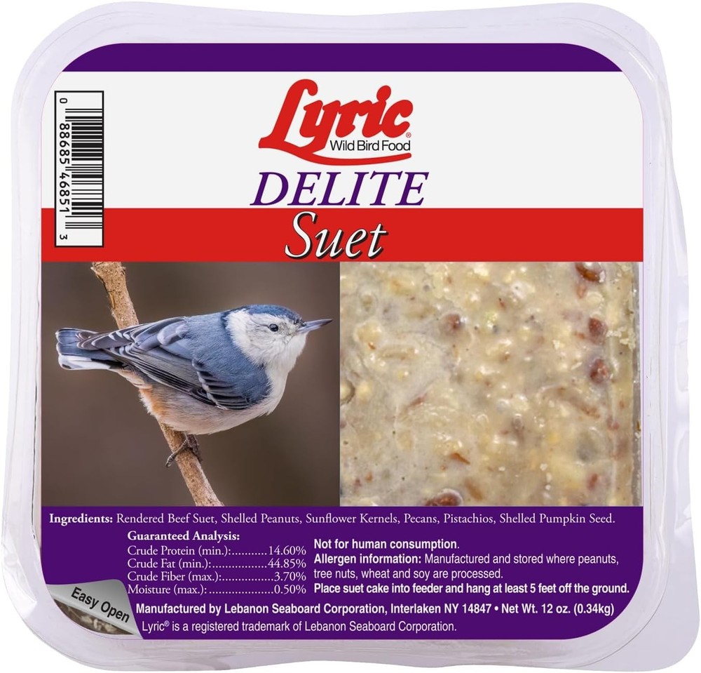 Lyric Delite High Protein Wild Bird Seed Suet Cakes for Wild Birds, 12 oz. (12 P