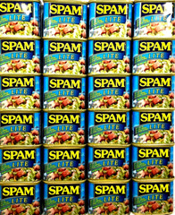 Spam Lite Luncheon Meat 12 oz ( Pack of 24 )~4/2027