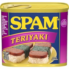 Gourmet Teriyaki Flavor Canned Pork – 12 Ounce (12 Pack) for Quick Dishes