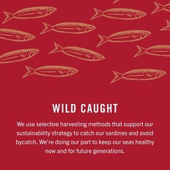 Wild Caught Sardines in Olive Oil Mediterranean Flavor Pack of 12 Cans