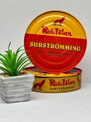 Surströmming Challenge Kit 300g Swedish Fermented Herring Smelliest Fish