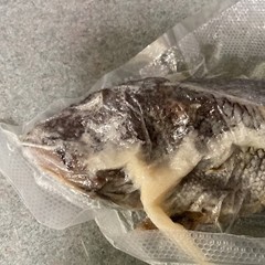 Saltfish Salted Fish Black Sea Bass Baccala Bacalao 10.5oz Carribean Italian US