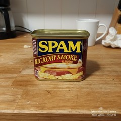 (Single Can) Hickory Smoke Canned Pork with Ham, Shelf Stable Luncheon Meat, …