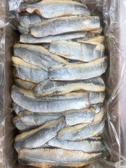 Salted SMOKE HERRING FILLET 1Lb =16oz $ 13.49 !! US SELLER !!
