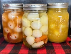 Pickled Quail Eggs Pint, Cajun, Garlic Dill, Amish Mustard Pickled Quail Eggs